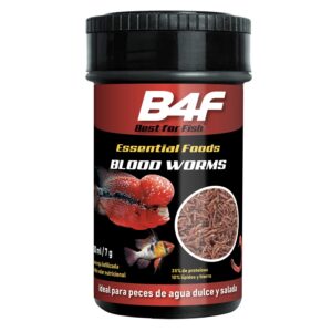 B4F Blood Worms : Alimento para peixes à base de larvas de mosquito liofilizado