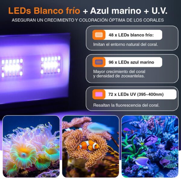 HYGGER Marine One HG173| Iluminação profissional para corais exigentes