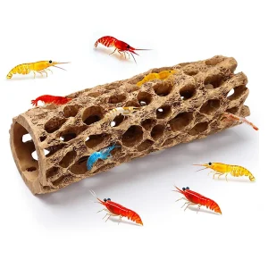 Cholla de Resina DECOR | Decoración realista Hygger para tu acuario