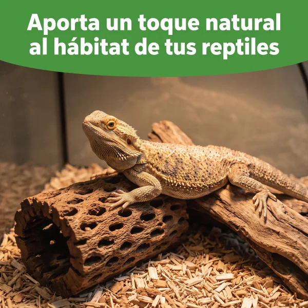 Cholla de Resina DECOR | Decoración realista Hygger para tu acuario