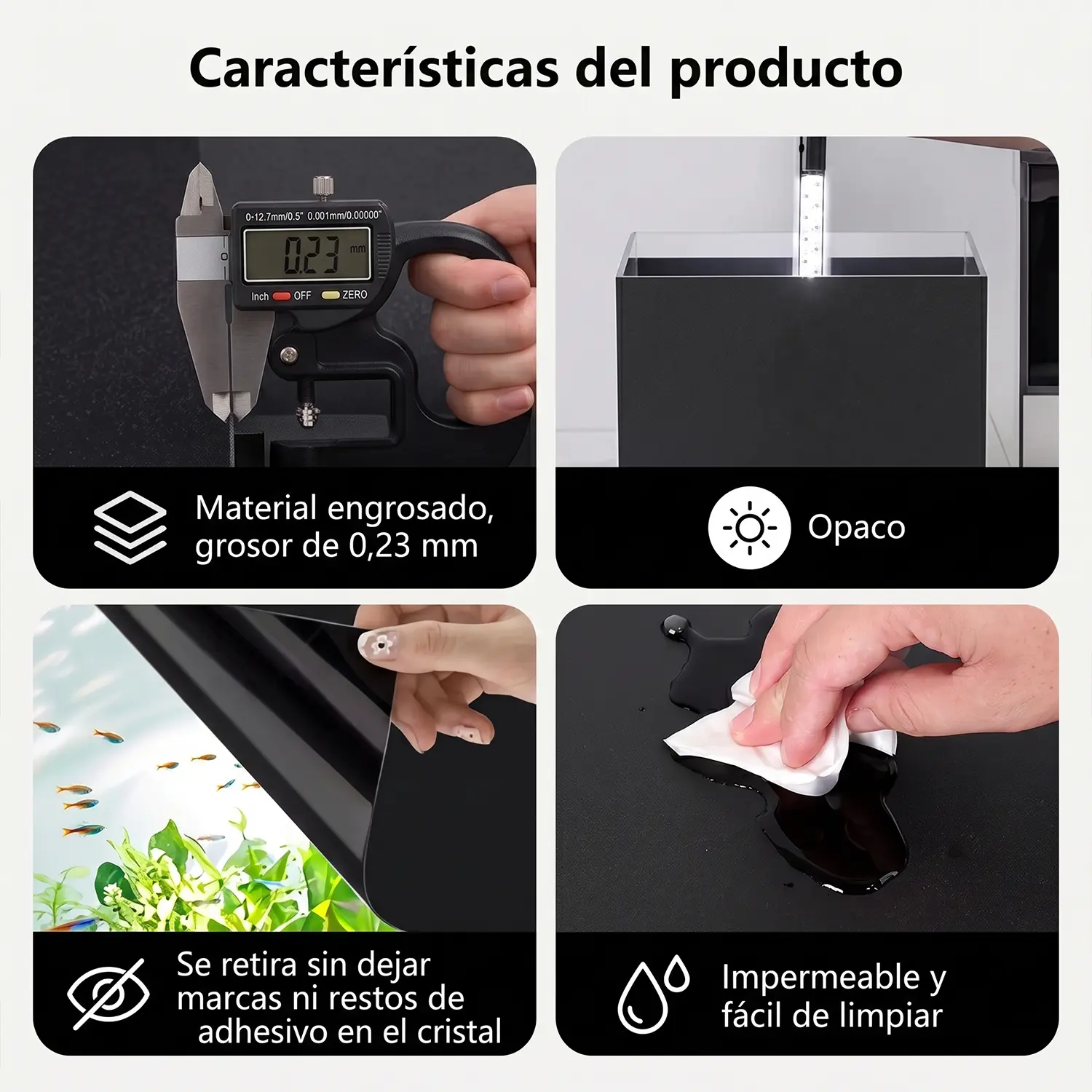 Póster fondo negro acuario - Imagen 3