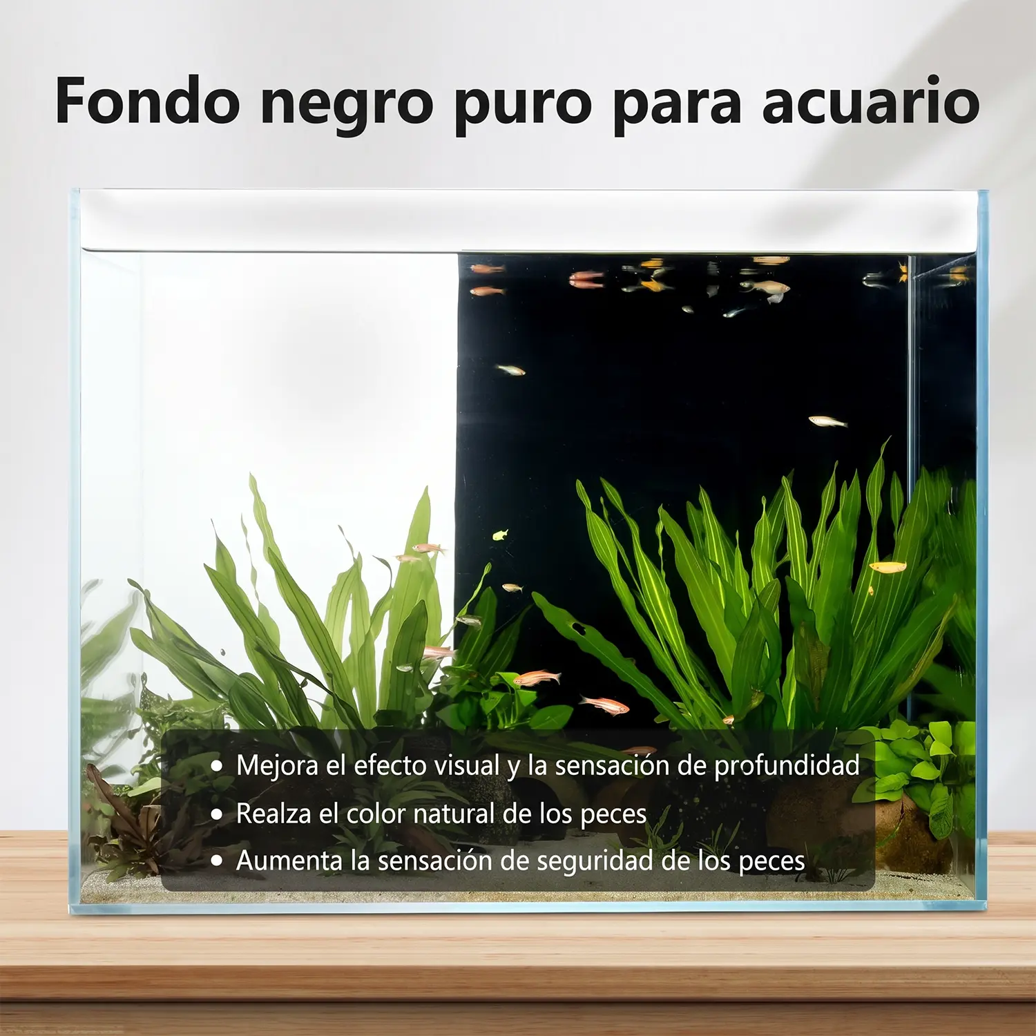 Póster fondo negro acuario | Decoración Premium Hygger para tu acuario