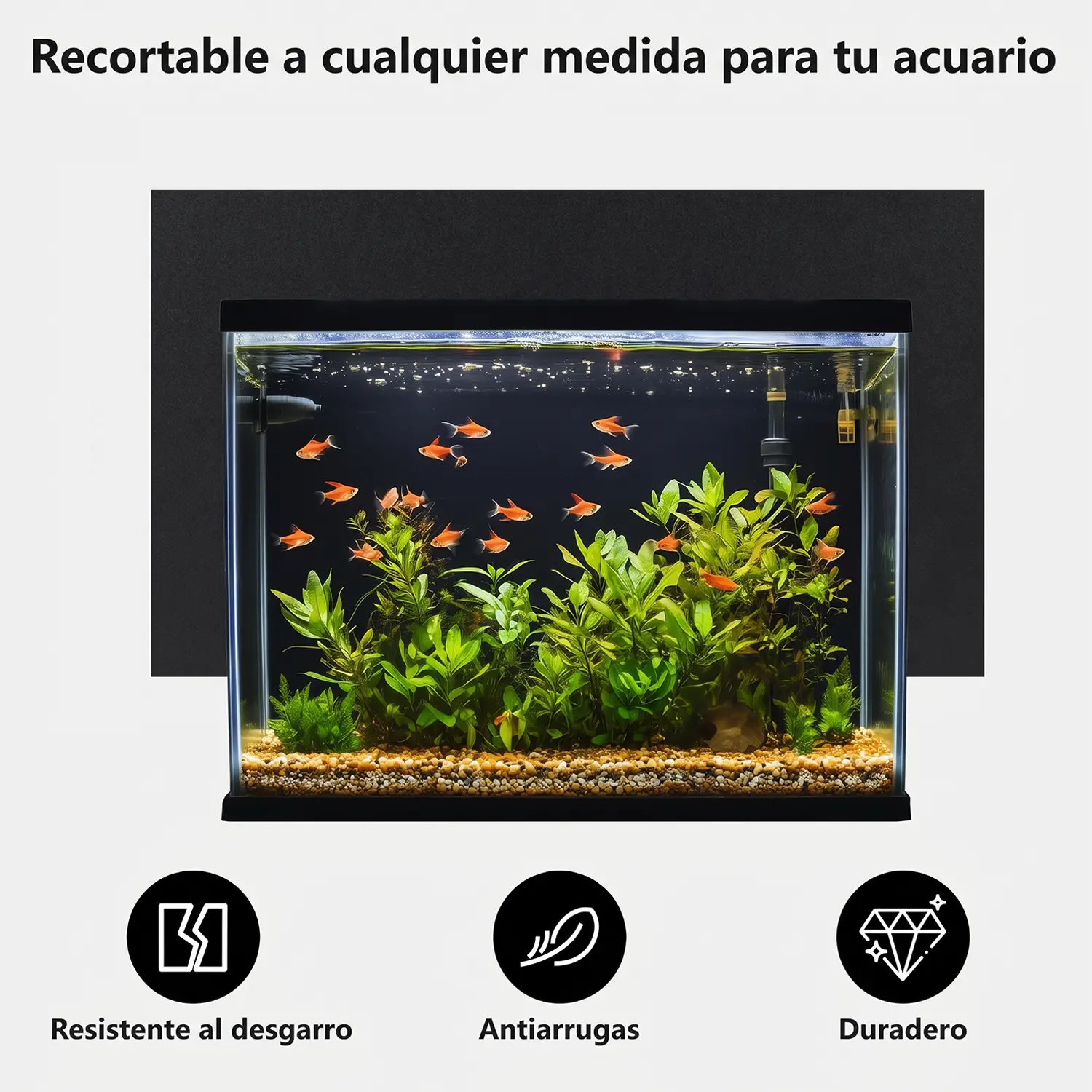 Póster fondo negro acuario | Decoración Premium Hygger para tu acuario