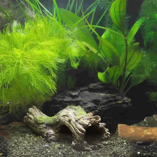 Decora tu acuario con el Tronco resina sintética DECOR. Ofrece protección y calidad
